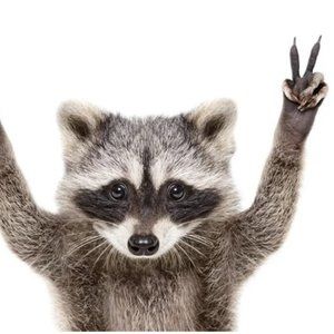 Meet your Posher, Katalin